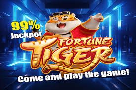 Champions League Guide hero image for bdkk apk football fans in Bangladesh